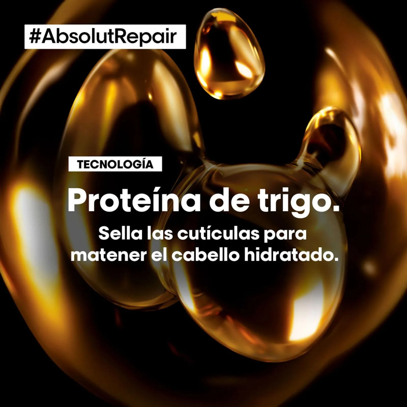 Shampoo Absolut Repair 500ml Loreal Professionel